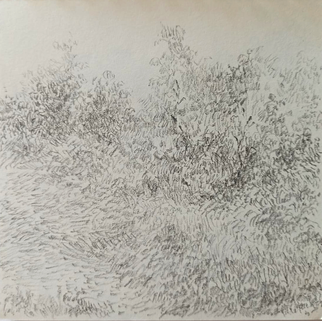 Collective Andrea Nagy Landscape 6 pencil on paper 15 x 15 cm